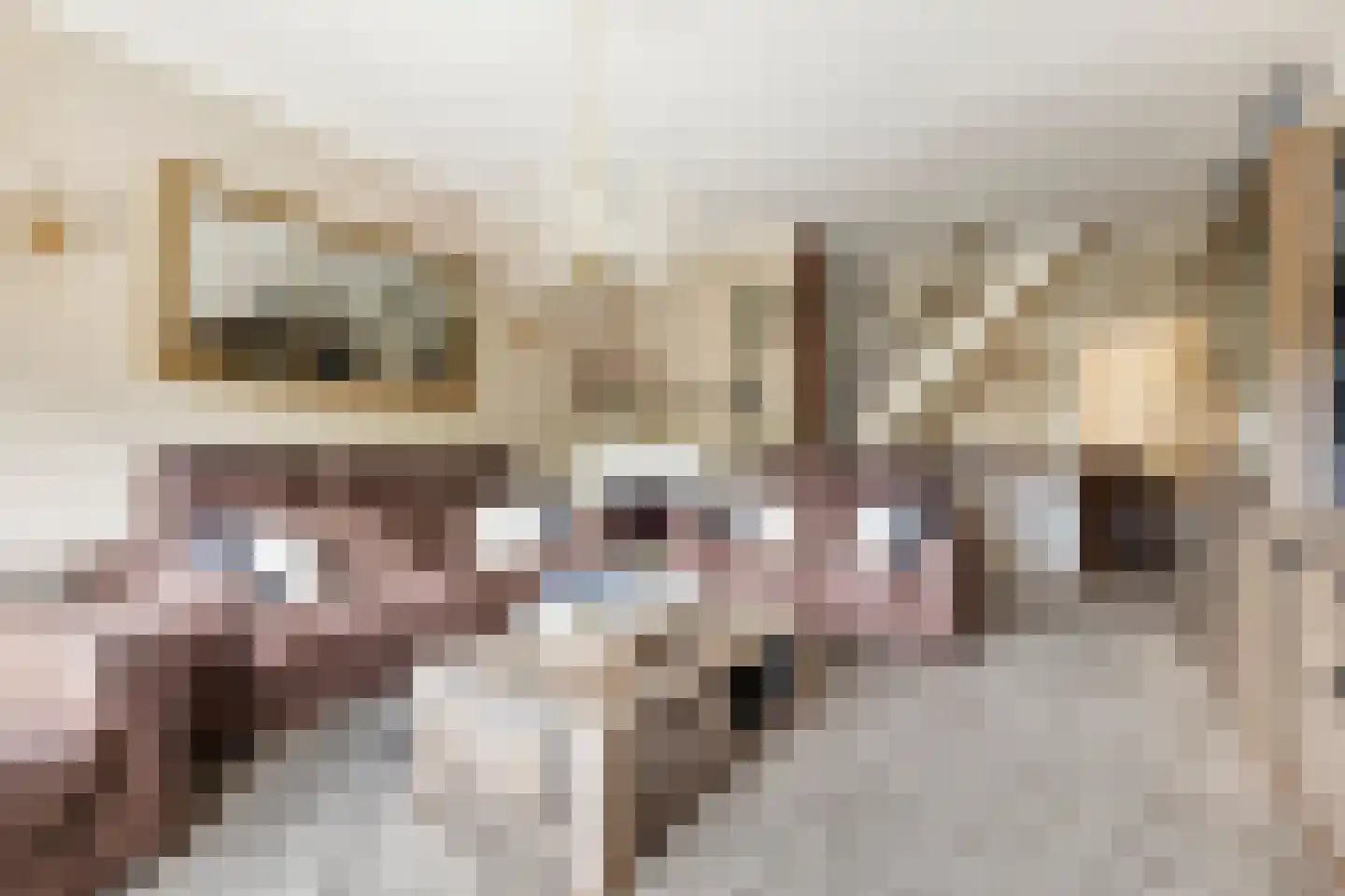 Topaasstraat 3 Groningen thumbnail 20