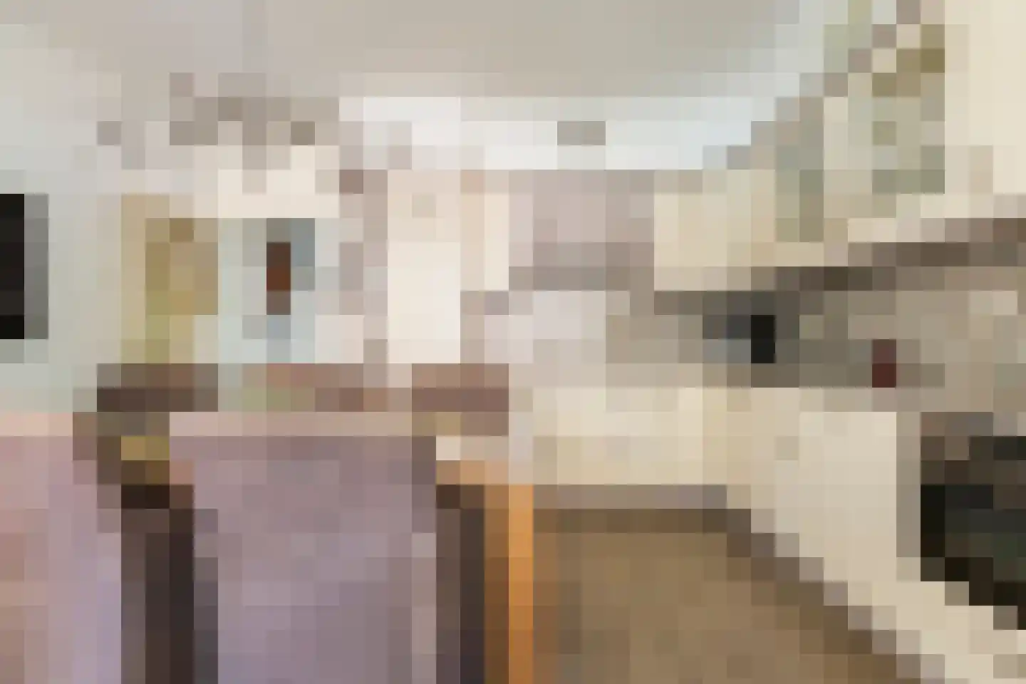 Topaasstraat 3 Groningen thumbnail 23