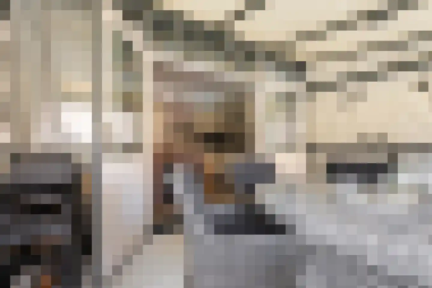 Topaasstraat 3 Groningen thumbnail 28