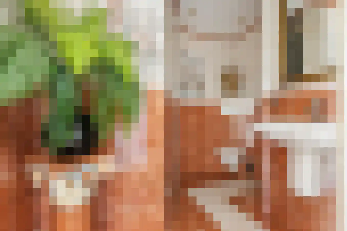 Topaasstraat 3 Groningen thumbnail 36