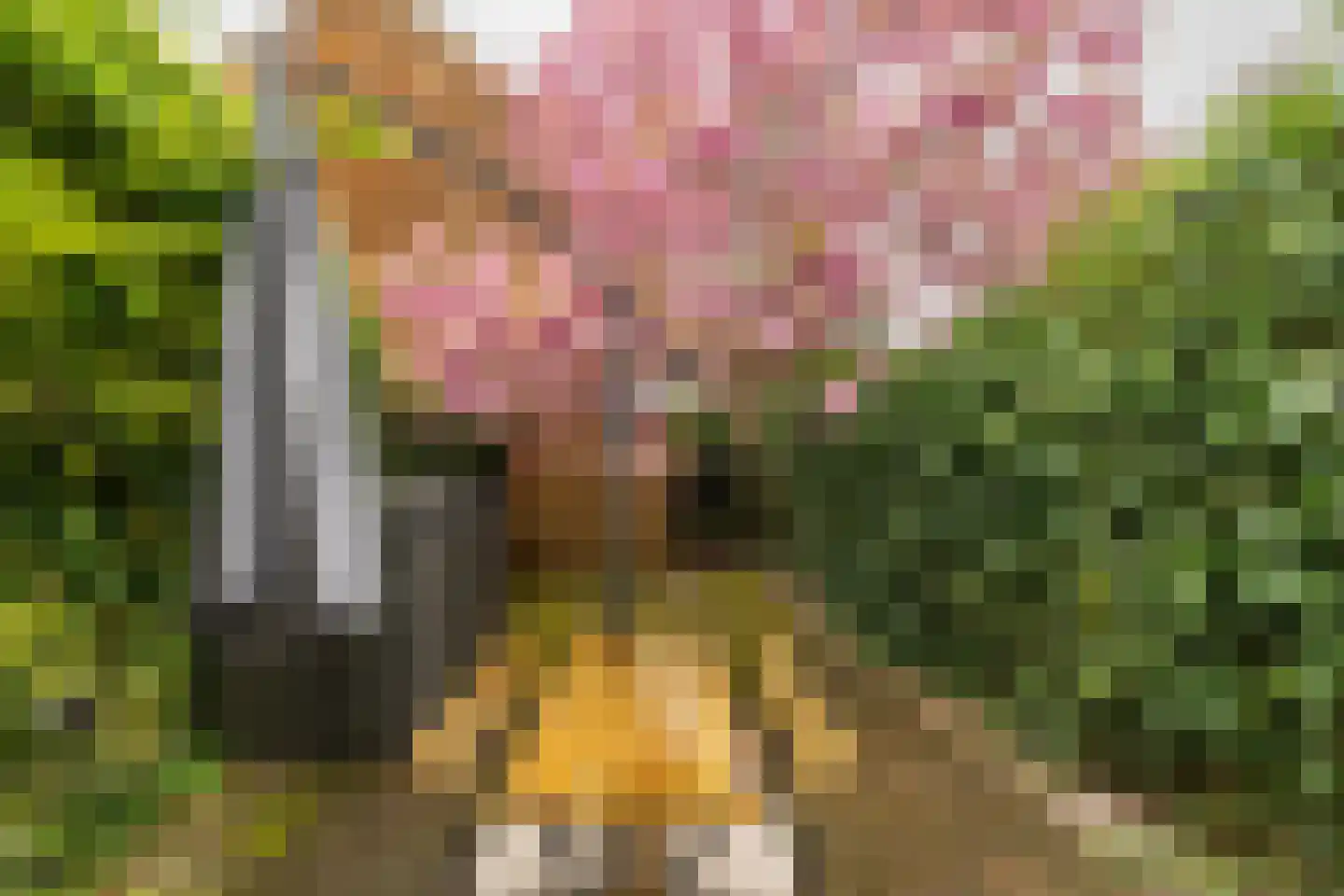 Topaasstraat 36 Groningen thumbnail 48