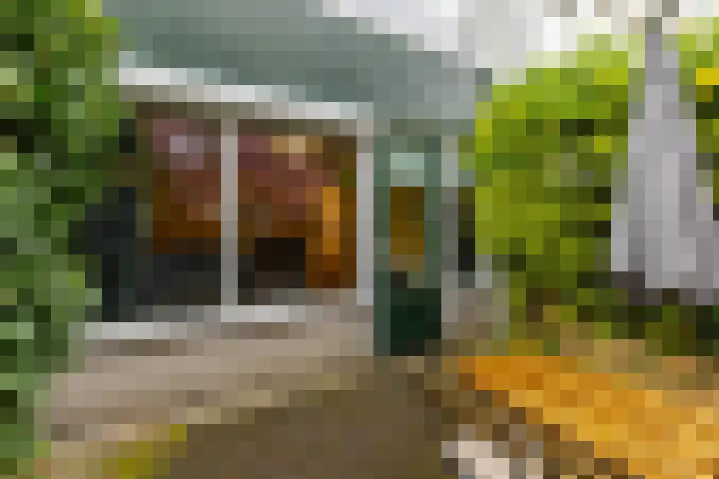 Topaasstraat 36 Groningen thumbnail 49