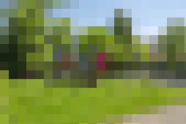 Topaasstraat 43 Groningen thumbnail 32