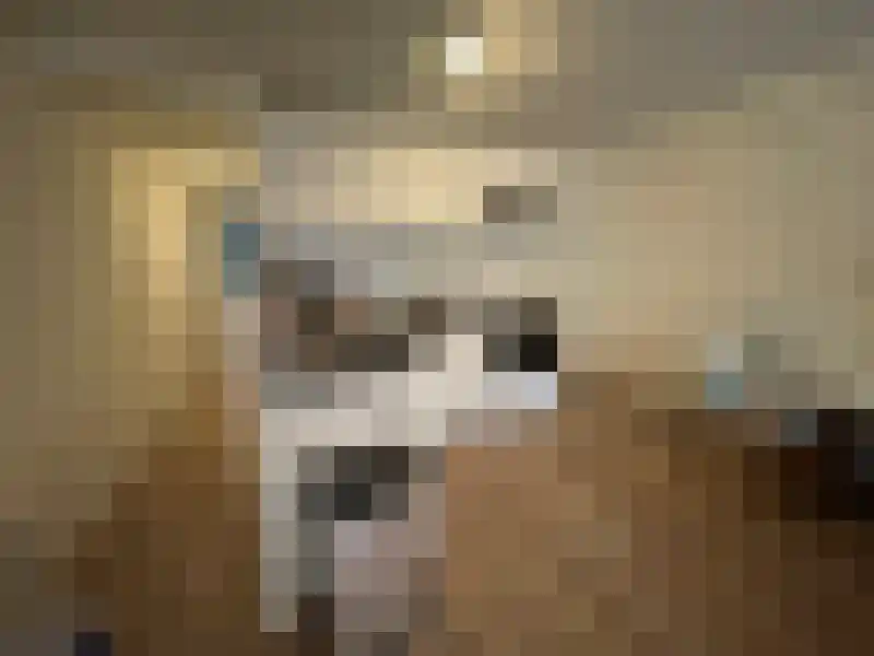 Topaasstraat 48 Groningen thumbnail 11