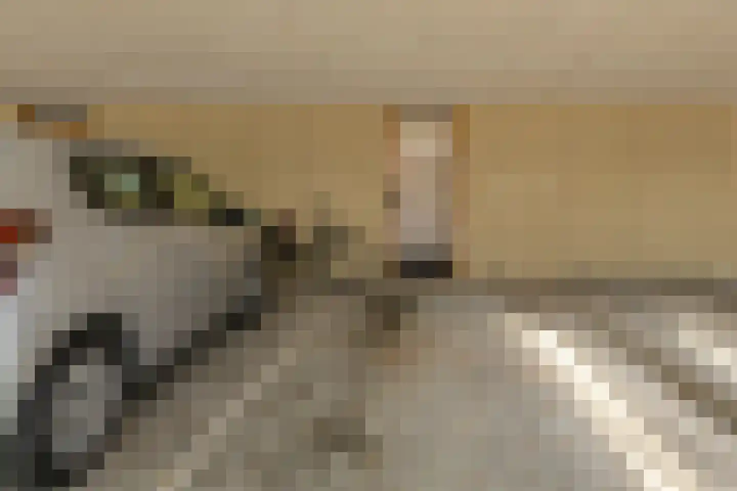 Topaasstraat 49 Breda thumbnail 49