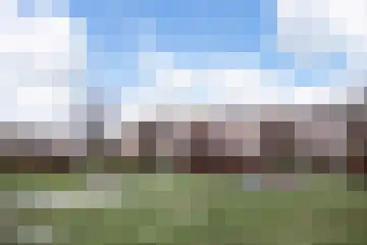 Topaasstraat 7 Ede thumbnail 38