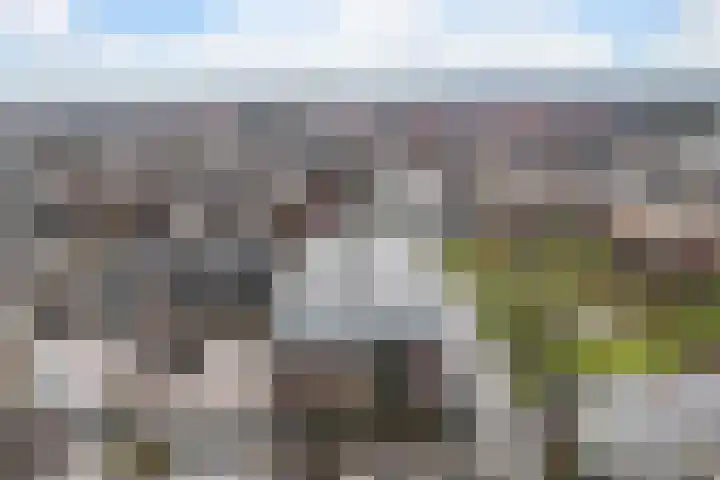 Topaasstraat 7 Ede thumbnail 41