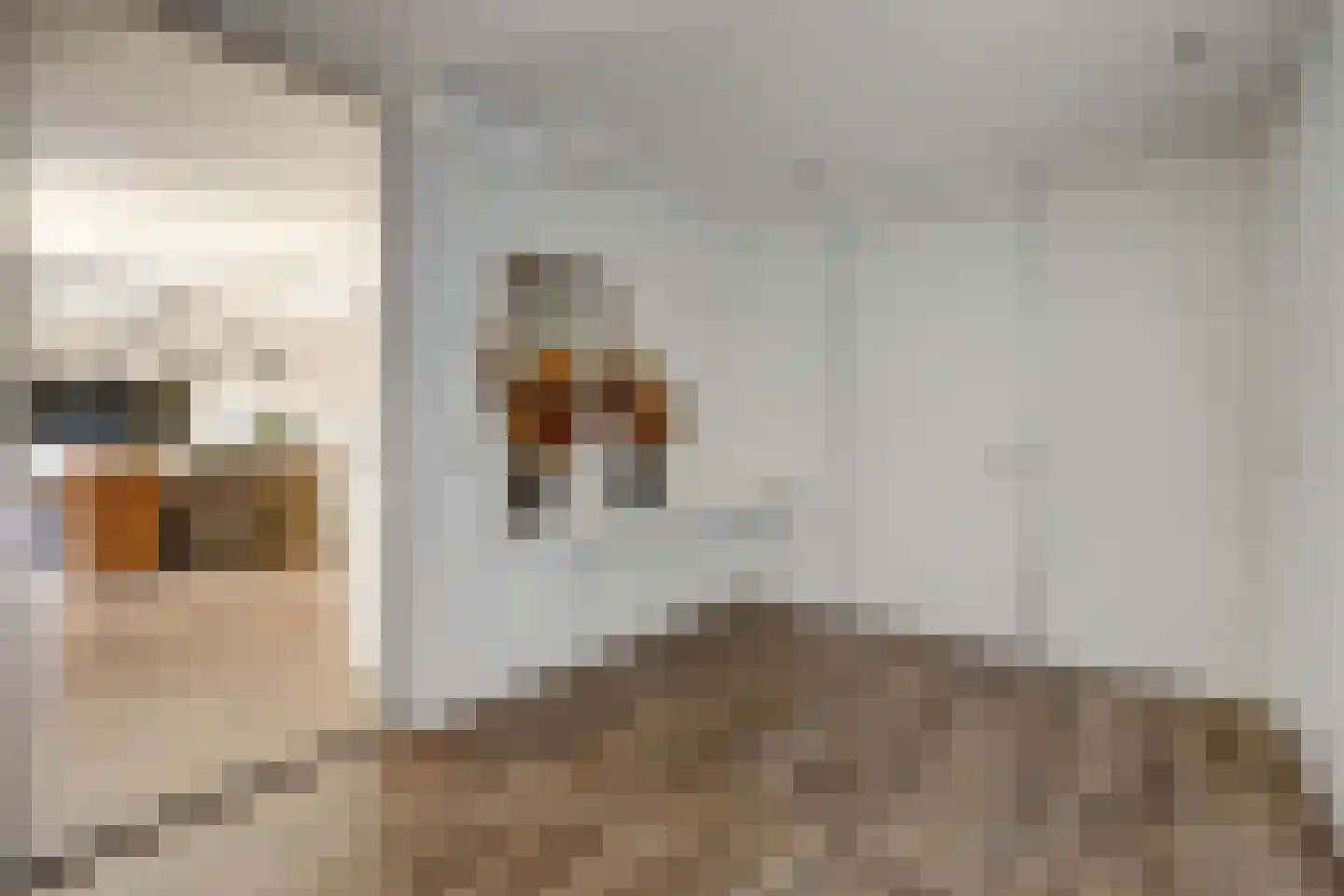 Topaasstraat 8 Almelo thumbnail 20