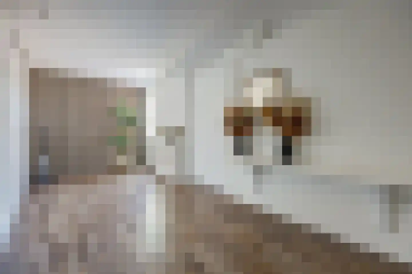 Topaasstraat 8 Almelo thumbnail 21
