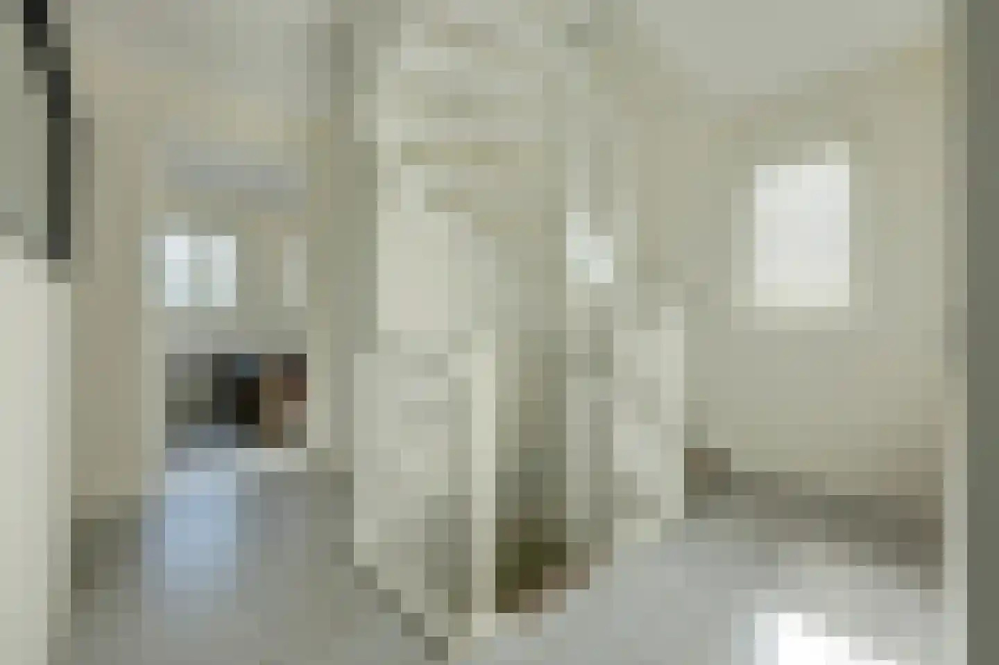 Topaasstraat 8 Almelo thumbnail 23