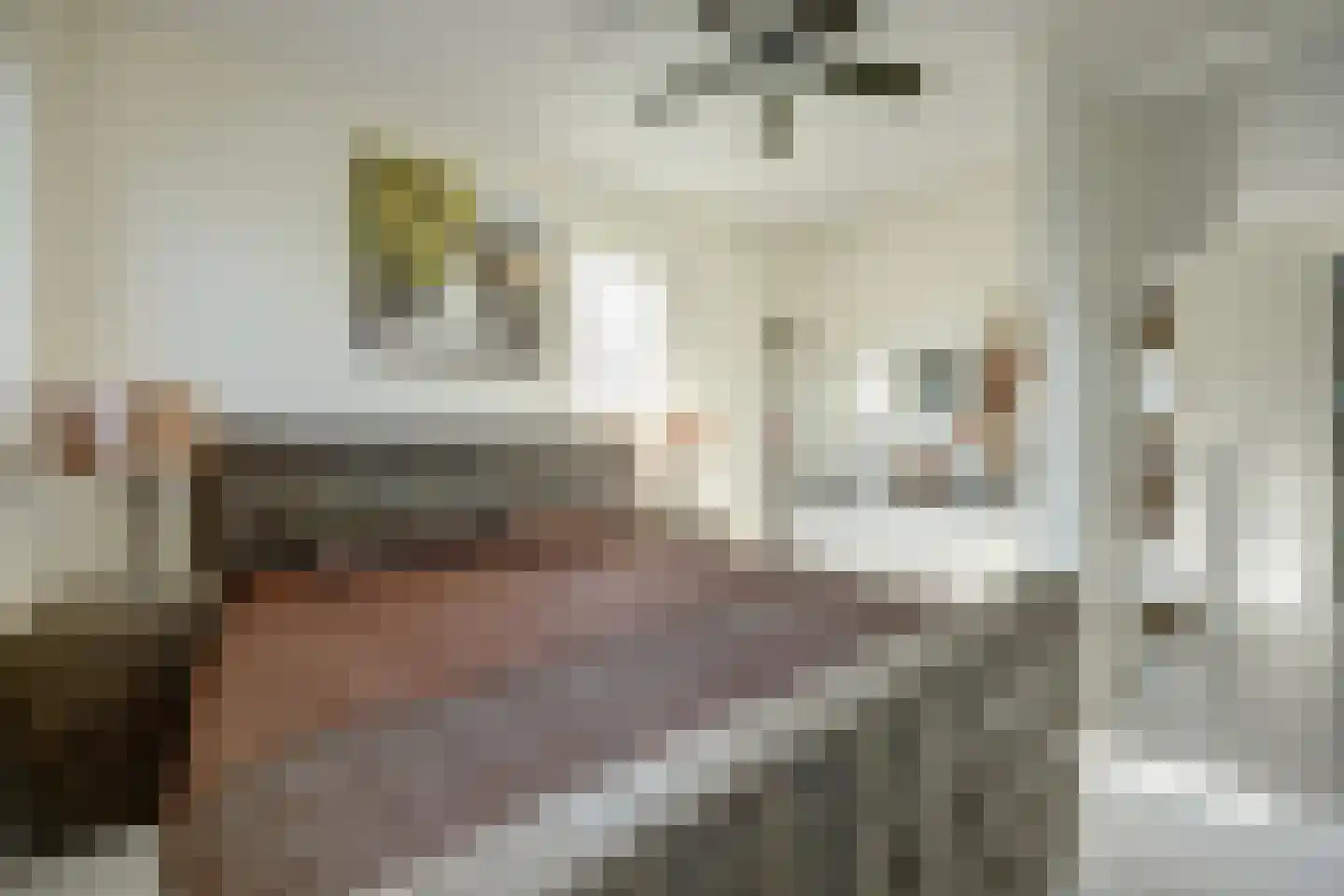 Topaasstraat 8 Almelo thumbnail 24