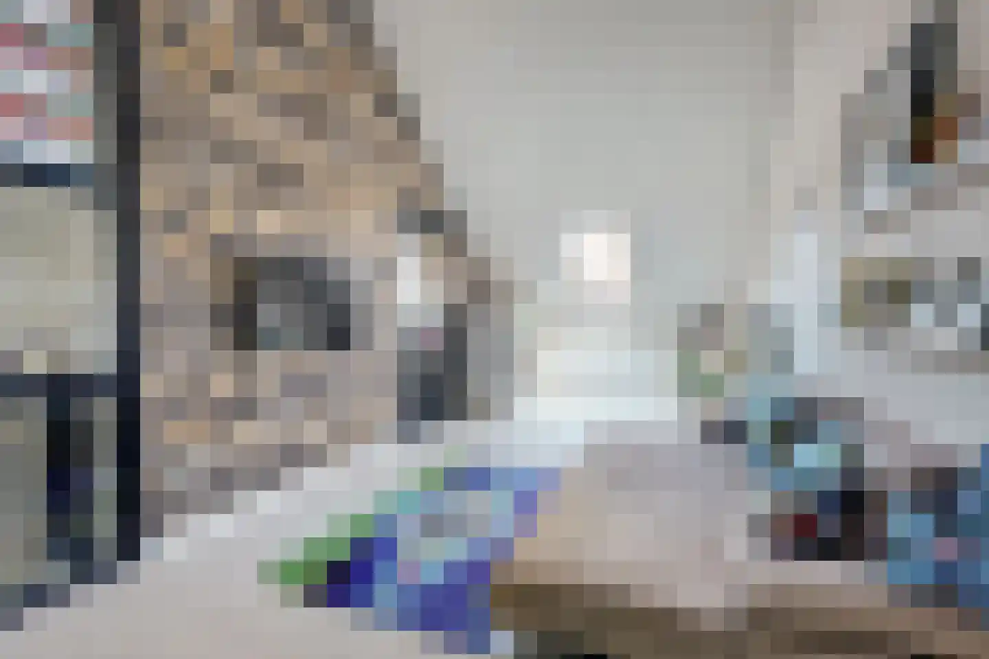 Topaasstraat 8 Almelo thumbnail 37