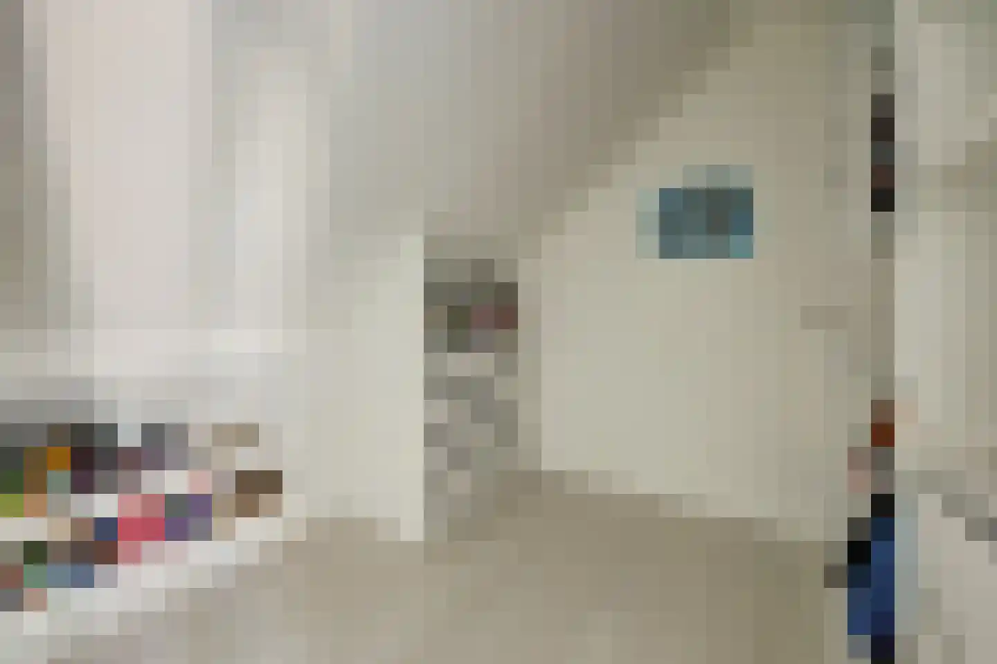 Topaasstraat 8 Almelo thumbnail 39