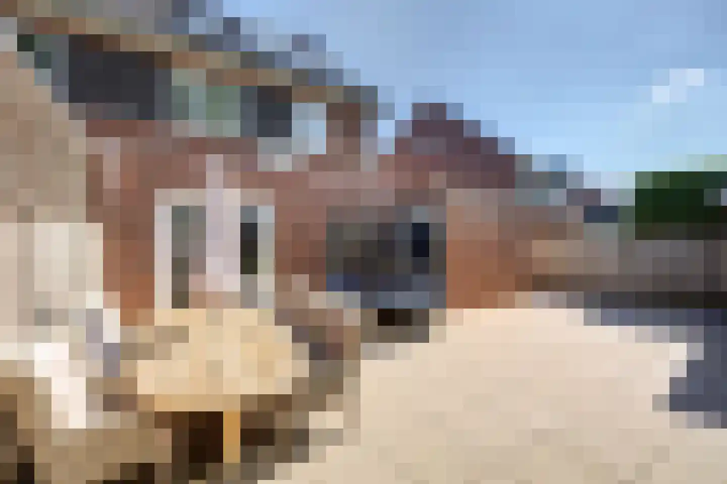 Topaasstraat 8 Almelo thumbnail 43