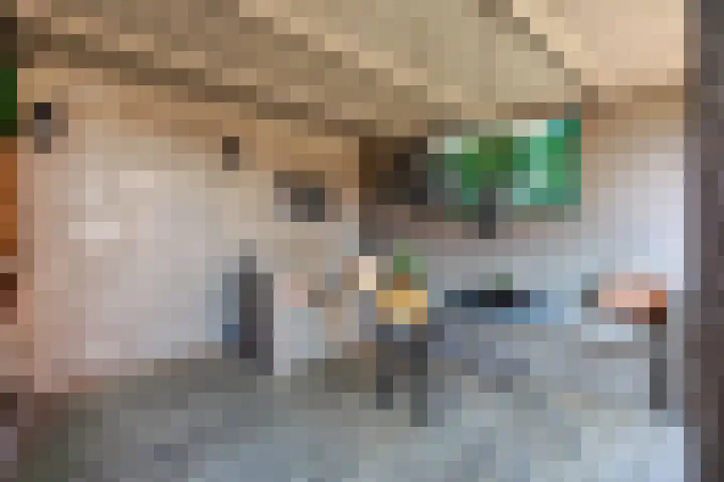 Topaasstraat 8 Almelo thumbnail 44