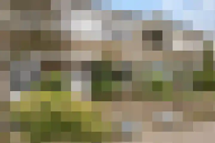 Topaasstraat 99 Nijmegen thumbnail 38