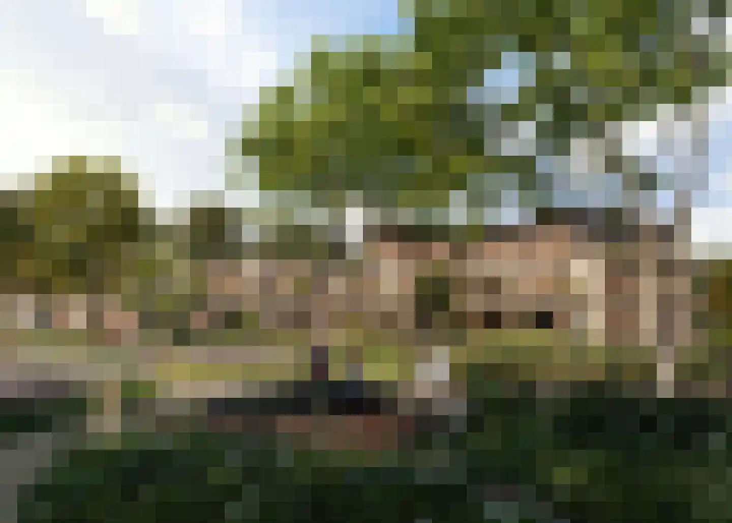 Topappartement (Bouwnr. 48) 48 Duiven thumbnail 4