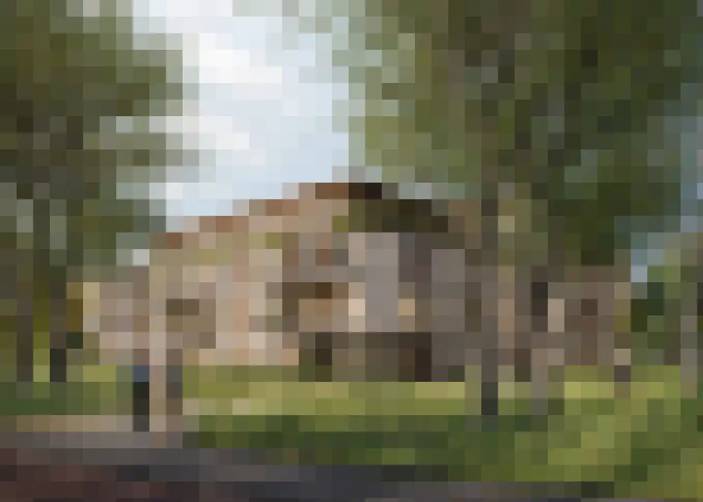Topappartement (Bouwnr. 48) 48 Duiven thumbnail 5
