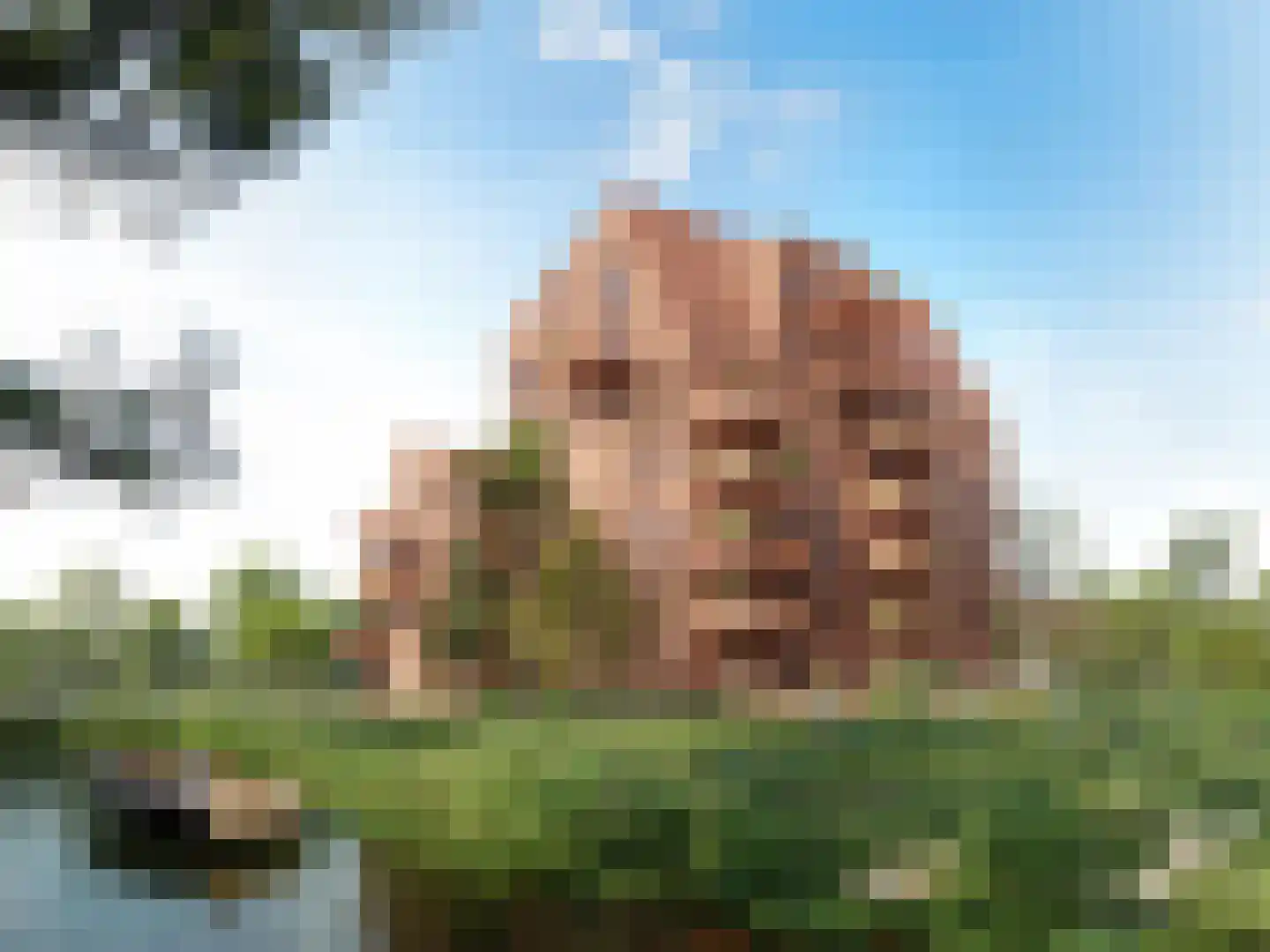 Tophoek 15 Meerstad foto 3