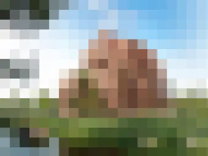 Tophoek 25 Meerstad foto 3