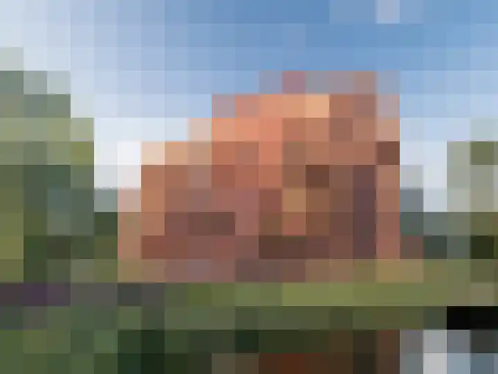 Tophoek 8 Meerstad foto 3