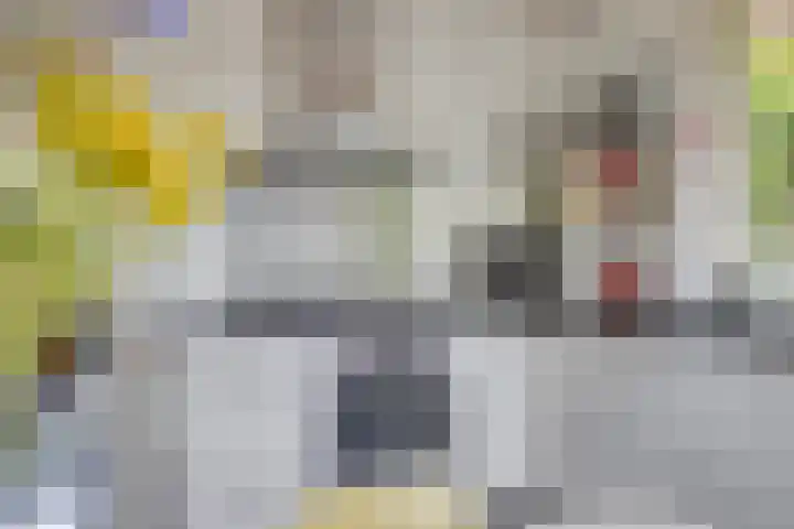 Topzeil 10 Capelle aan den IJssel thumbnail 11