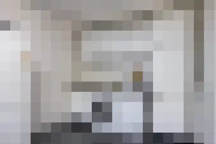Topzeil 10 Capelle aan den IJssel thumbnail 13