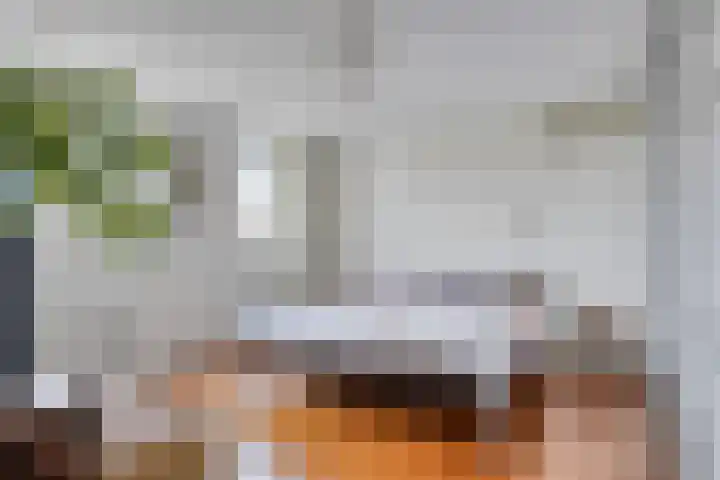 Topzeil 10 Capelle aan den IJssel thumbnail 15