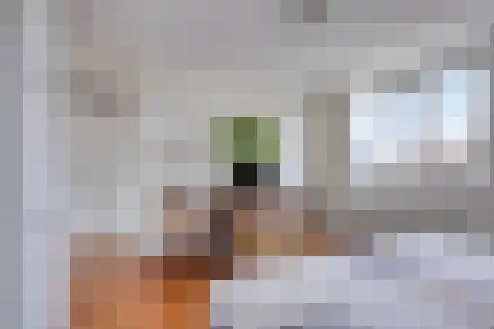 Topzeil 10 Capelle aan den IJssel thumbnail 16