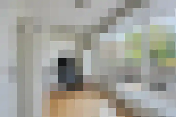 Topzeil 10 Capelle aan den IJssel thumbnail 17