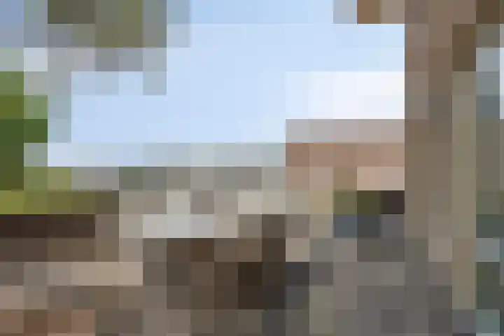 Topzeil 10 Capelle aan den IJssel thumbnail 21