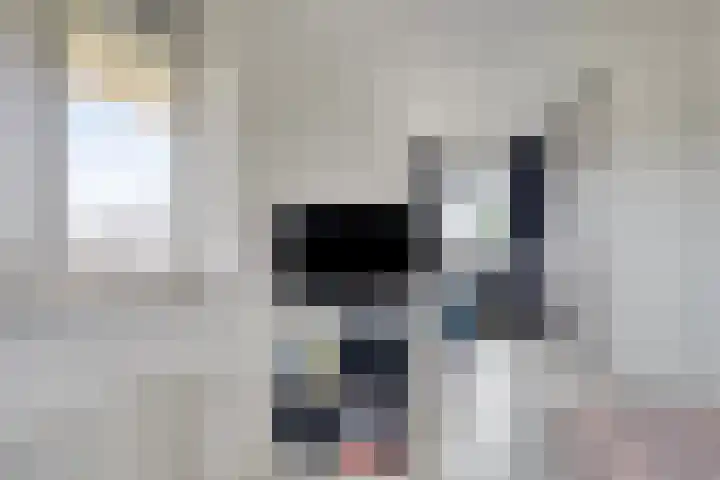 Topzeil 10 Capelle aan den IJssel thumbnail 25