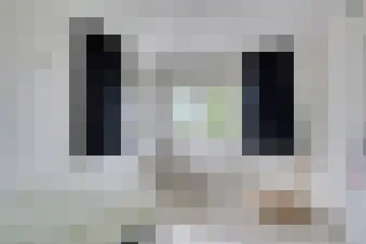 Topzeil 10 Capelle aan den IJssel thumbnail 27