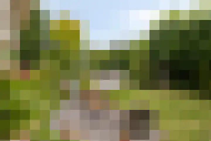 Topzeil 10 Capelle aan den IJssel thumbnail 29