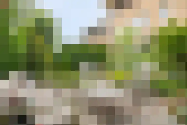 Topzeil 10 Capelle aan den IJssel thumbnail 30