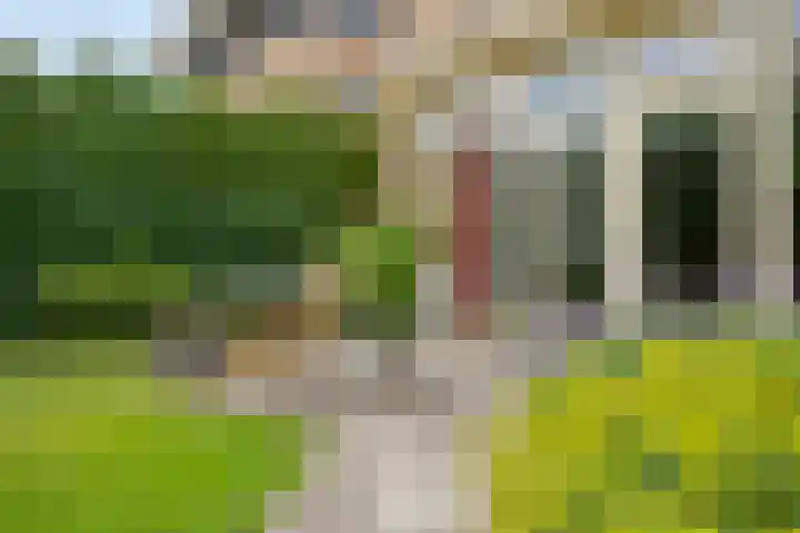 Topzeil 10 Capelle aan den IJssel thumbnail 31