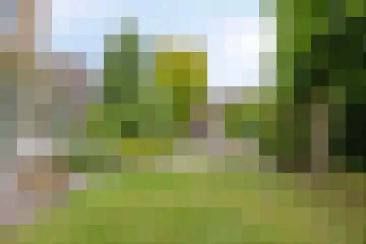 Topzeil 10 Capelle aan den IJssel thumbnail 32