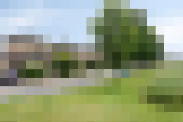 Topzeil 10 Capelle aan den IJssel thumbnail 36