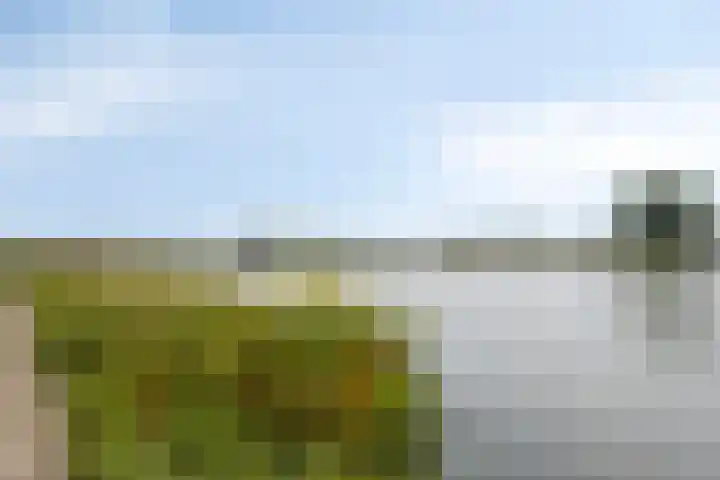 Topzeil 10 Capelle aan den IJssel thumbnail 38