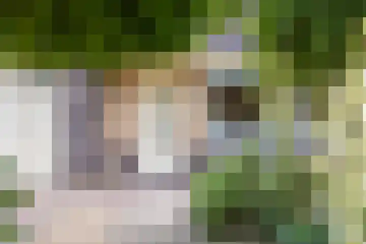Topzeil 10 Capelle aan den IJssel thumbnail 4