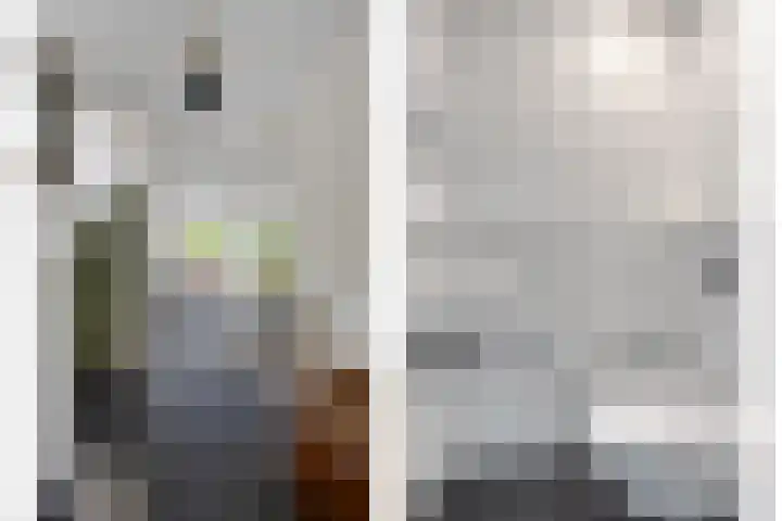 Topzeil 10 Capelle aan den IJssel thumbnail 5