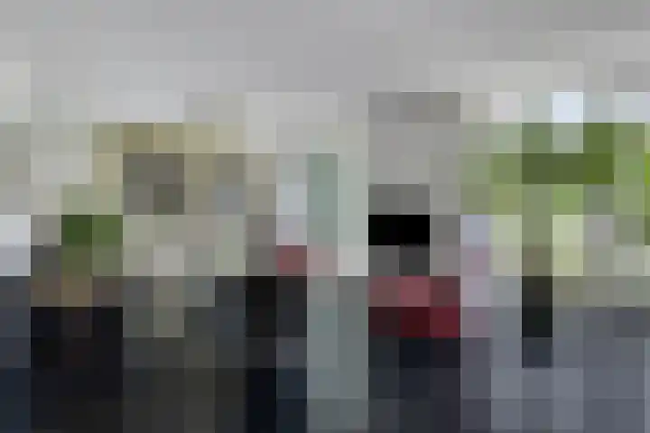Topzeil 10 Capelle aan den IJssel thumbnail 6