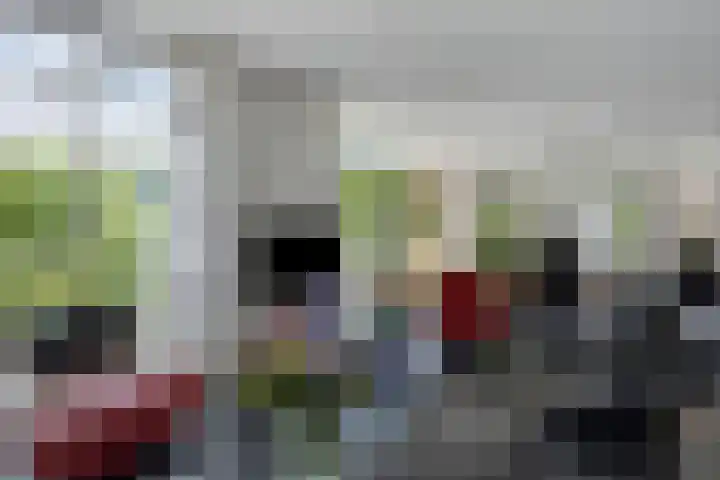 Topzeil 10 Capelle aan den IJssel thumbnail 7