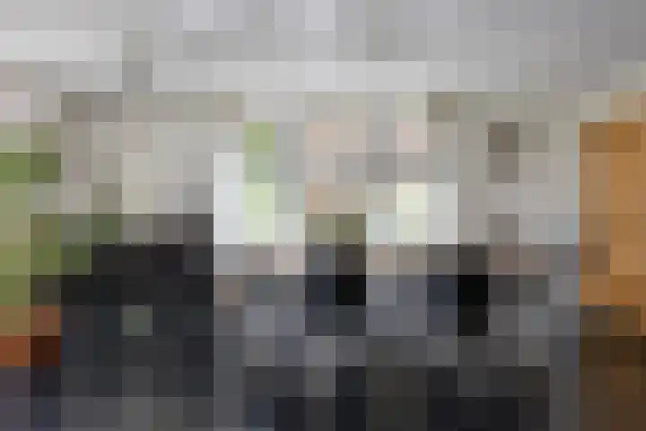 Topzeil 10 Capelle aan den IJssel thumbnail 8
