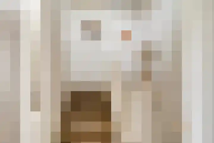 Topzeil 14 Almere thumbnail 17