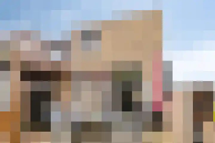 Topzeil 14 Almere thumbnail 28