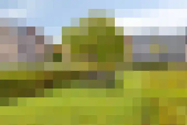 Topzeil 14 Almere thumbnail 30