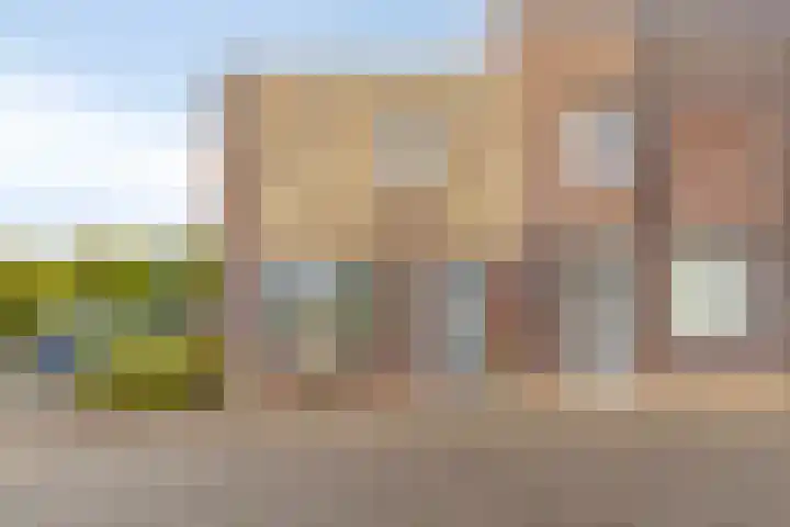 Topzeil 14 Almere thumbnail 7