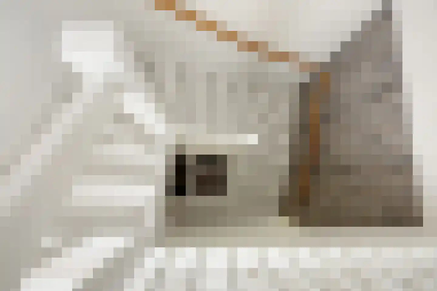 Topzeil 18 Almere thumbnail 28
