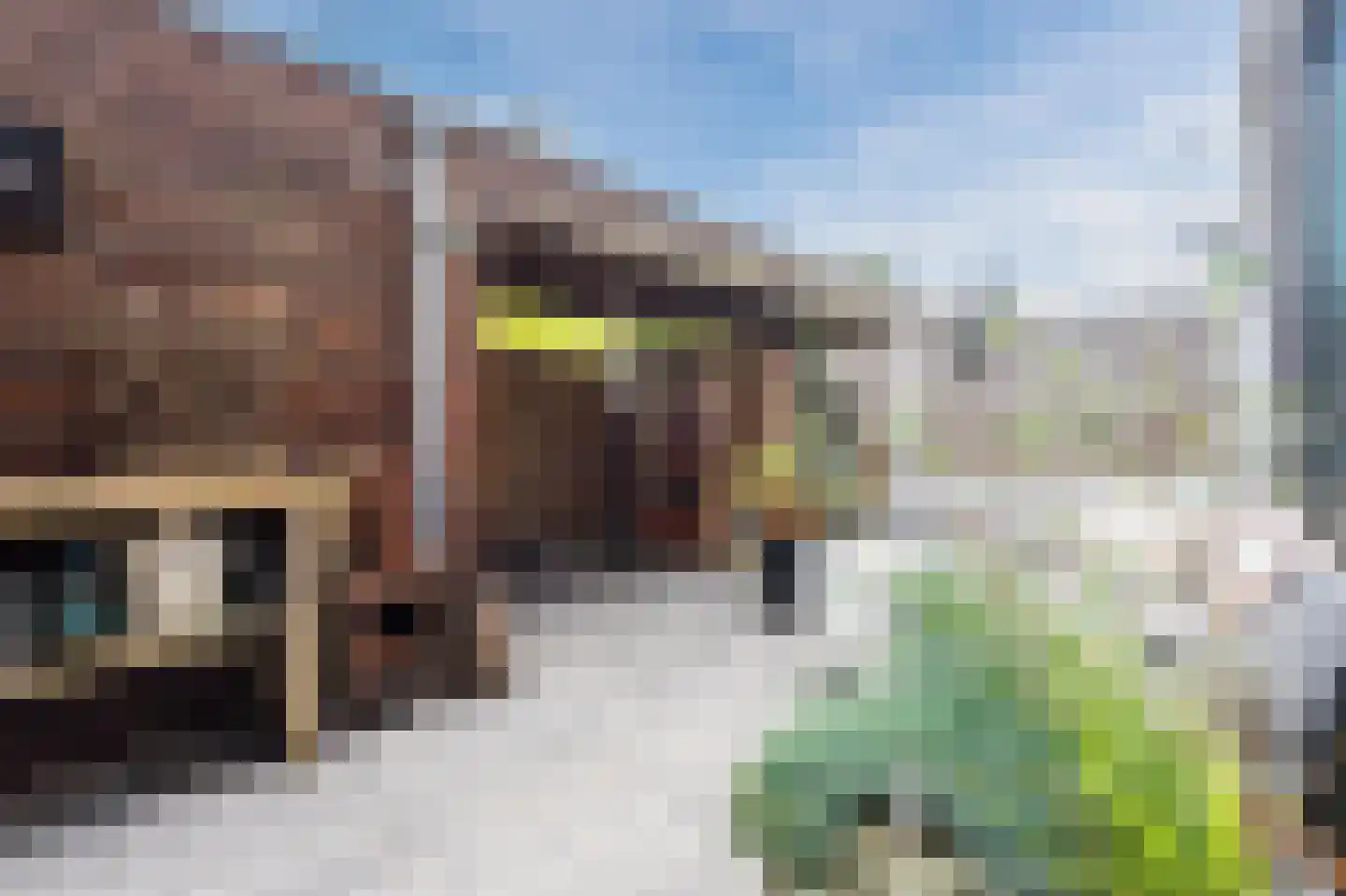 Topzeil 22 Almere thumbnail 38